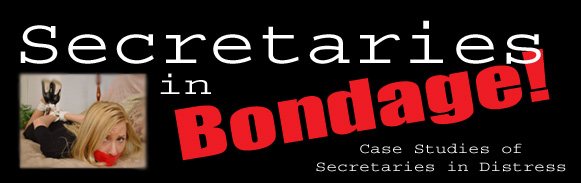 Secretaries In Bondage